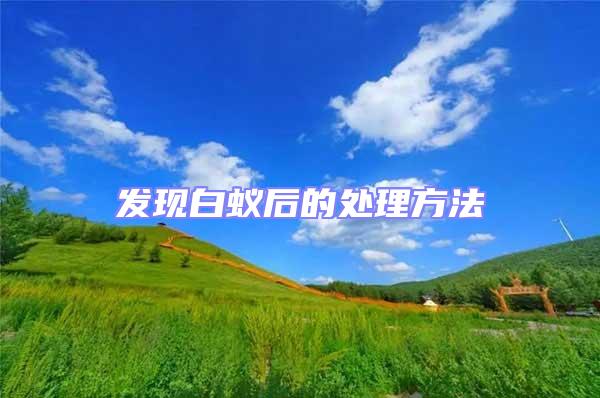 發現白蟻后的處理方法