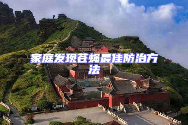 家庭發現蒼蠅最佳防治方法