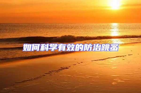 如何科學有效的防治跳蚤