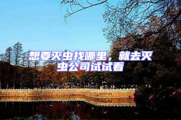 想要滅蟲找哪里，就去滅蟲公司試試看