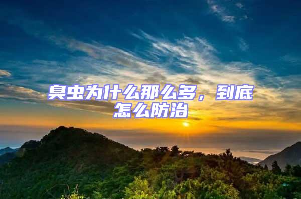 臭蟲為什么那么多，到底怎么防治