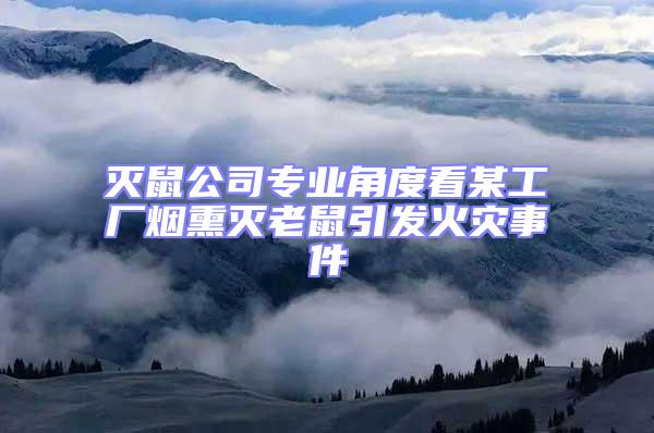 滅鼠公司專業角度看某工廠煙熏滅老鼠引發火災事件