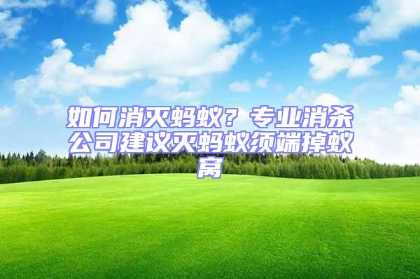 如何消滅螞蟻？專業消殺公司建議滅螞蟻須端掉蟻窩