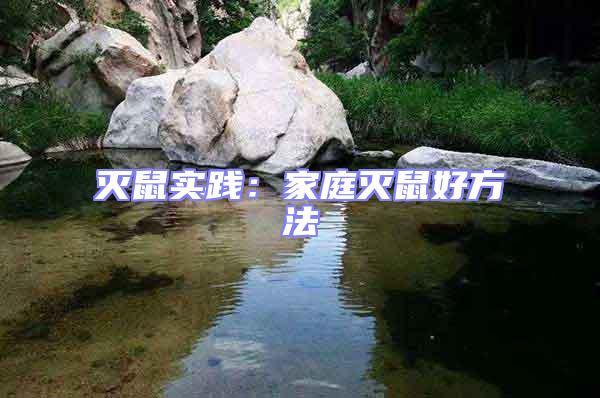 滅鼠實(shí)踐：家庭滅鼠好方法