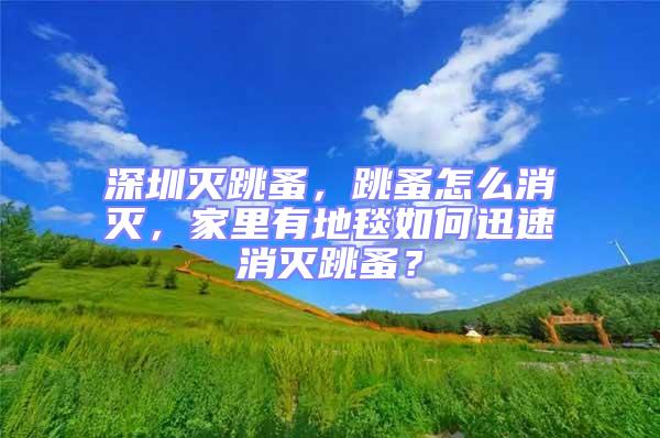 深圳滅跳蚤，跳蚤怎么消滅，家里有地毯如何迅速消滅跳蚤？