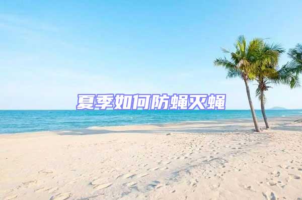 夏季如何防蠅滅蠅