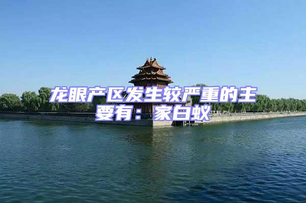龍眼產區發生較嚴重的主要有：家白蟻