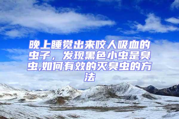 晚上睡覺出來咬人吸血的蟲子，發現黑色小蟲是臭蟲,如何有效的滅臭蟲的方法
