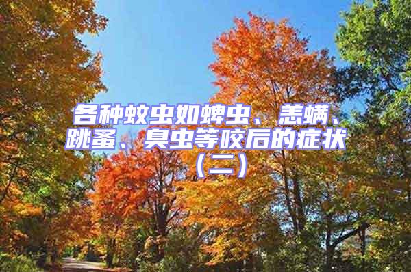 各種蚊蟲如蜱蟲、恙螨、跳蚤、臭蟲等咬后的癥狀（二）