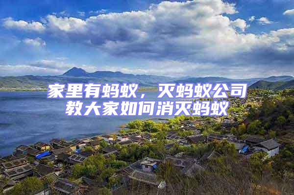 家里有螞蟻，滅螞蟻公司教大家如何消滅螞蟻