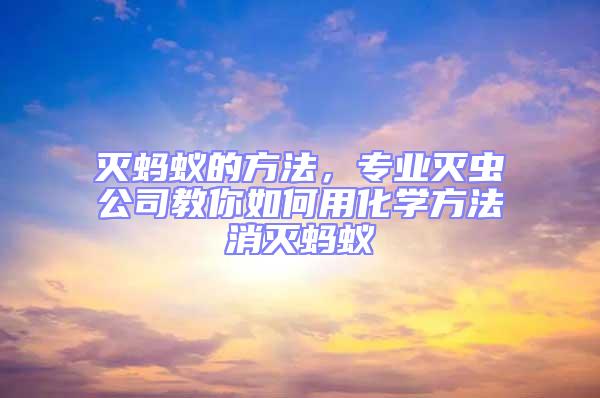 滅螞蟻的方法，專業滅蟲公司教你如何用化學方法消滅螞蟻