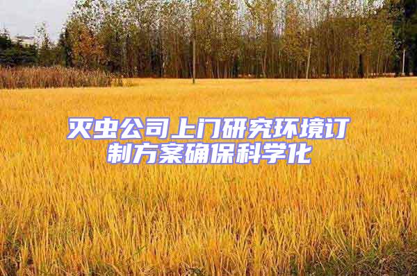 滅蟲公司上門研究環境訂制方案確保科學化