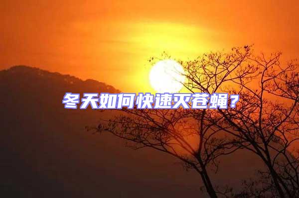 冬天如何快速滅蒼蠅？