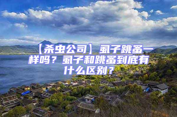 【殺蟲公司】虱子跳蚤一樣嗎？虱子和跳蚤到底有什么區(qū)別？