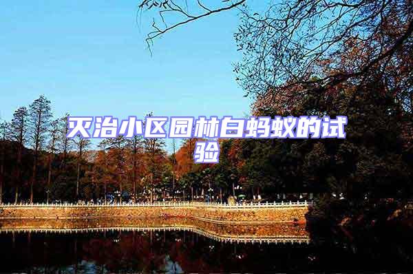 滅治小區(qū)園林白螞蟻的試驗
