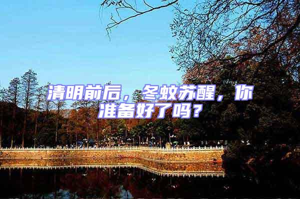 清明前后，冬蚊蘇醒，你準備好了嗎？