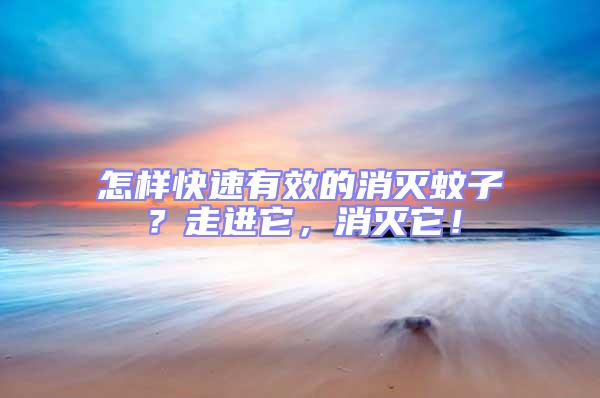 怎樣快速有效的消滅蚊子？走進(jìn)它，消滅它！