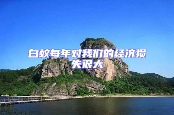 白蟻每年對我們的經濟損失很大