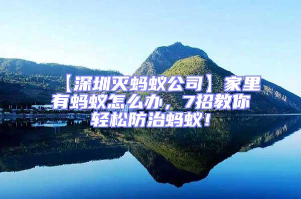 【深圳滅螞蟻公司】家里有螞蟻怎么辦，7招教你輕松防治螞蟻！