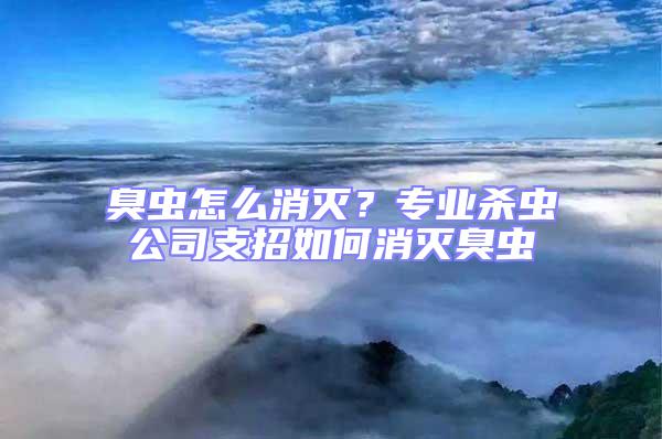 臭蟲怎么消滅？專業殺蟲公司支招如何消滅臭蟲