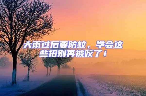 大雨過后要防蚊，學(xué)會(huì)這些招別再被咬了！