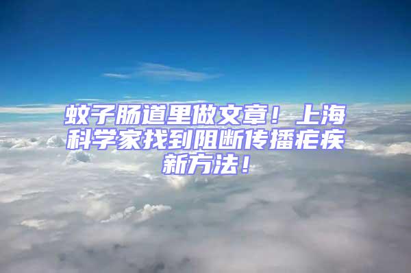 蚊子腸道里做文章！上海科學家找到阻斷傳播瘧疾新方法！