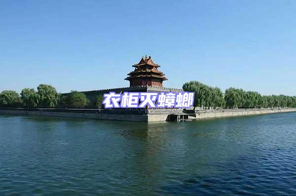 衣柜滅蟑螂