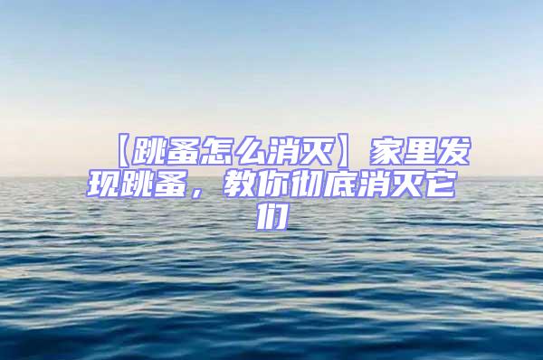 【跳蚤怎么消滅】家里發(fā)現(xiàn)跳蚤，教你徹底消滅它們