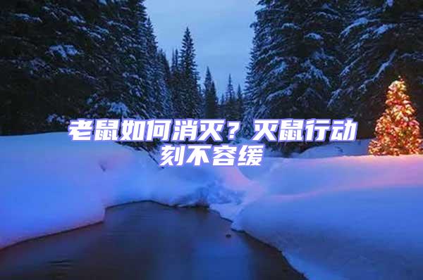 老鼠如何消滅？滅鼠行動刻不容緩