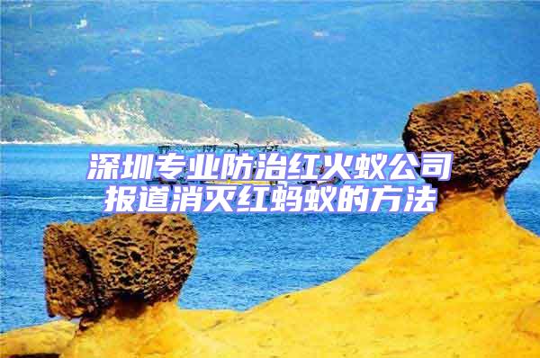 深圳專業(yè)防治紅火蟻公司報(bào)道消滅紅螞蟻的方法
