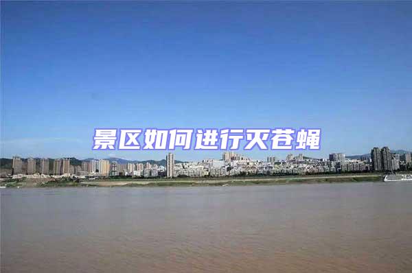 景區如何進行滅蒼蠅