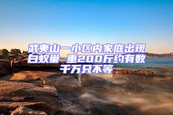 武夷山一小區內家庭出現白蟻巢 重200斤約有數千萬只不等