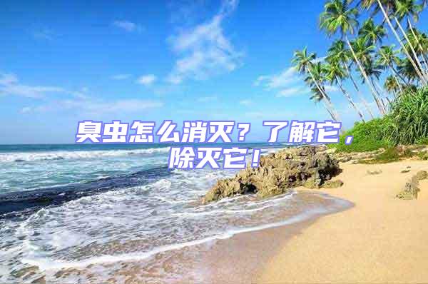 臭蟲(chóng)怎么消滅？了解它，除滅它！