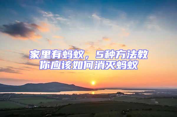 家里有螞蟻，5種方法教你應(yīng)該如何消滅螞蟻