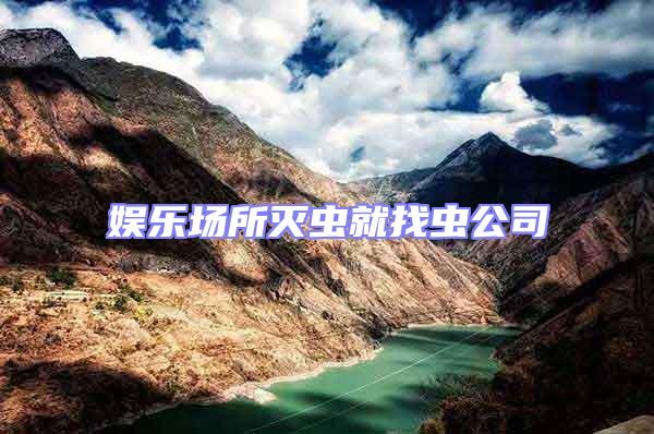 娛樂場所滅蟲就找蟲公司