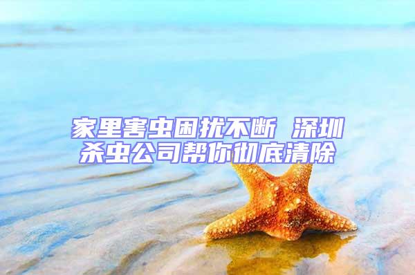 家里害蟲困擾不斷 深圳殺蟲公司幫你徹底清除