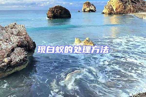 現(xiàn)白蟻的處理方法