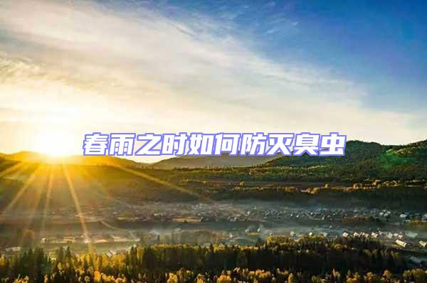 春雨之時(shí)如何防滅臭蟲(chóng)