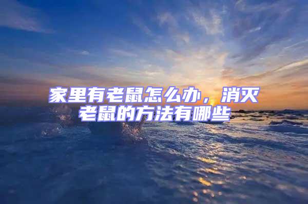 家里有老鼠怎么辦，消滅老鼠的方法有哪些