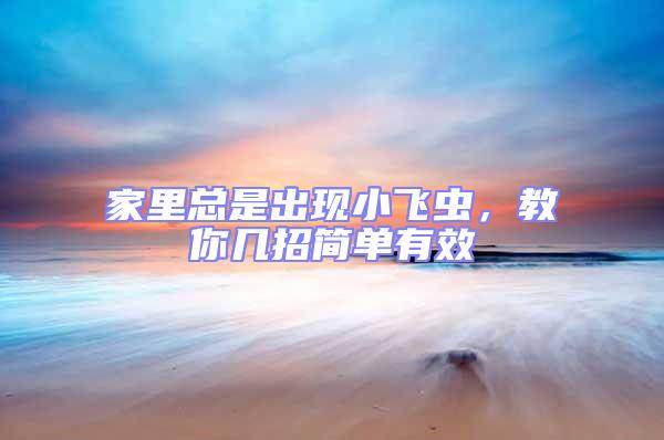 家里總是出現(xiàn)小飛蟲(chóng)，教你幾招簡(jiǎn)單有效