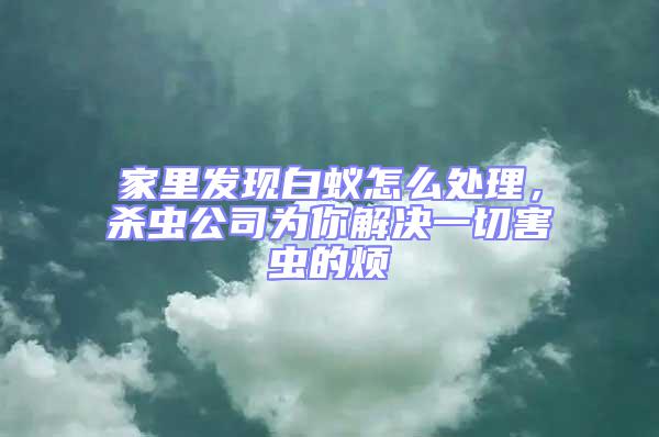 家里發(fā)現(xiàn)白蟻怎么處理，殺蟲(chóng)公司為你解決一切害蟲(chóng)的煩