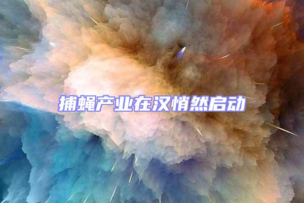 捕蠅產業在漢悄然啟動