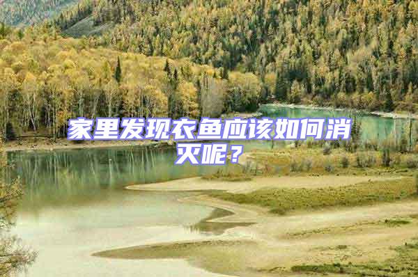 家里發(fā)現(xiàn)衣魚應該如何消滅呢？