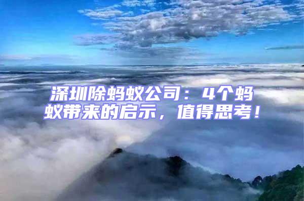 深圳除螞蟻公司：4個螞蟻帶來的啟示，值得思考！