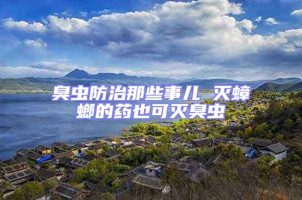 臭蟲(chóng)防治那些事兒 滅蟑螂的藥也可滅臭蟲(chóng)