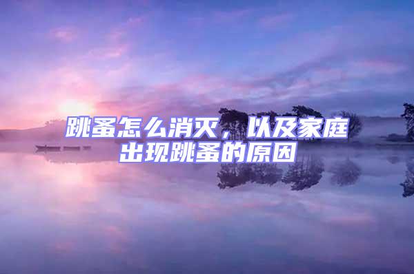跳蚤怎么消滅，以及家庭出現跳蚤的原因