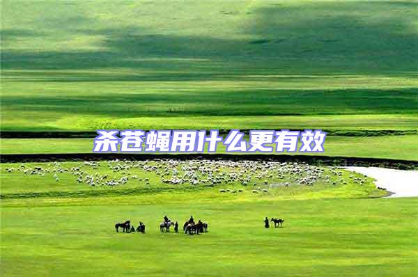 殺蒼蠅用什么更有效