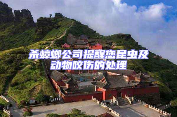 殺蟑螂公司提醒您昆蟲及動(dòng)物咬傷的處理