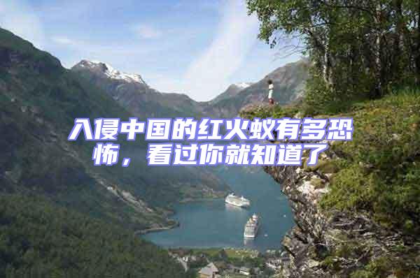 入侵中國的紅火蟻有多恐怖，看過你就知道了