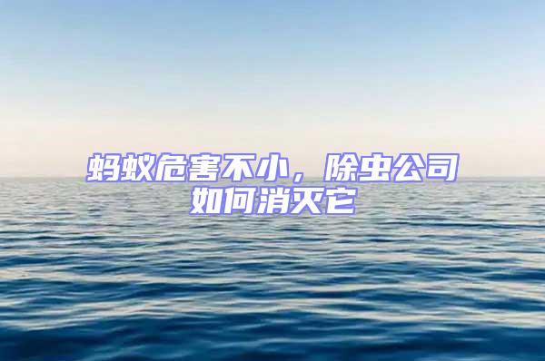 螞蟻危害不小，除蟲公司如何消滅它